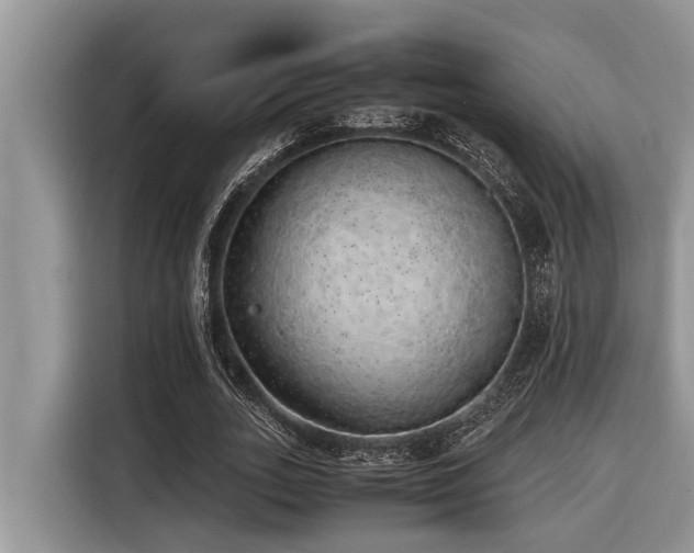 X0000116420727200912081503