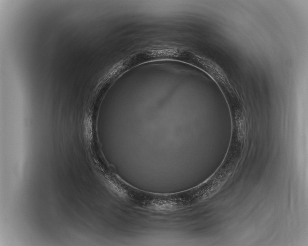 X0000116420729200912081503