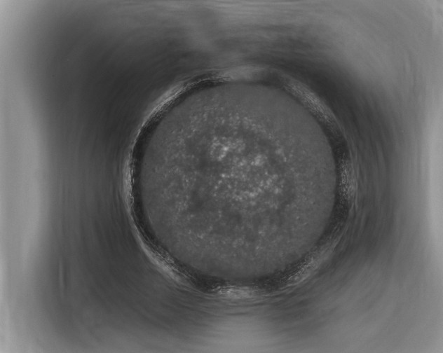 X0000116420730200912081503