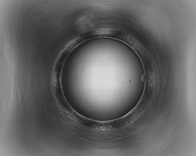 X0000116420731200912081503