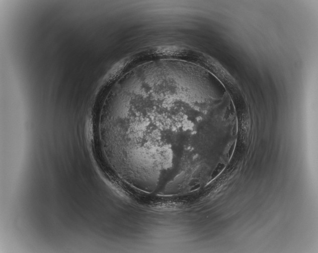 X0000116420734200912081503