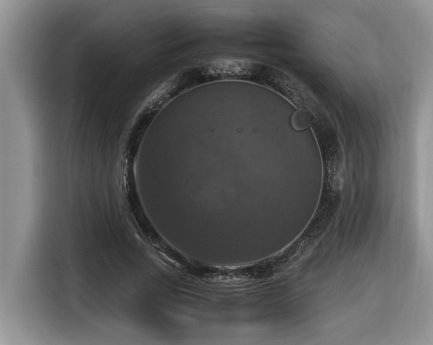 X0000116420735200912081503