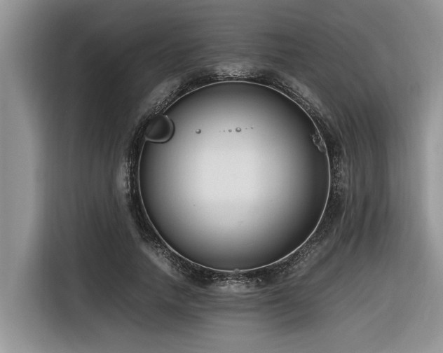 X0000116420738200912081503