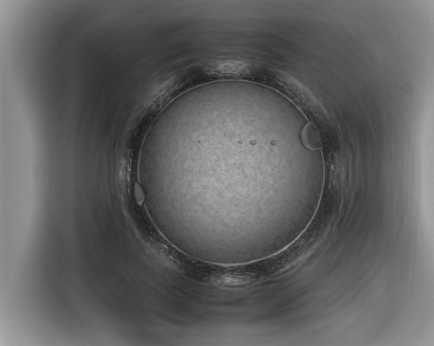 X0000116420739200912081503