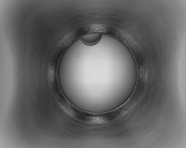 X0000116420741200912081503