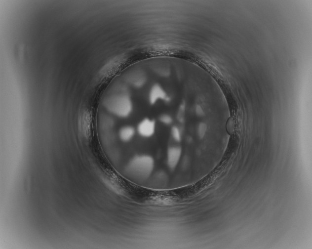 X0000116420742200912081503