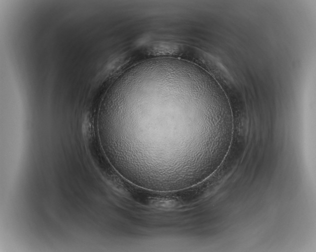 X0000116420743200912081503