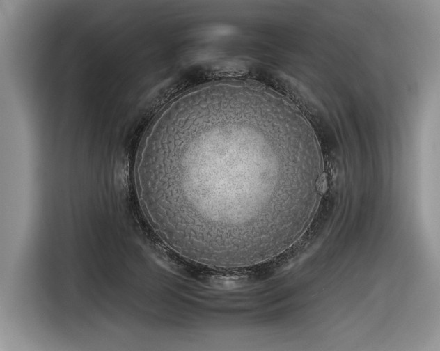 X0000116420745200912081503