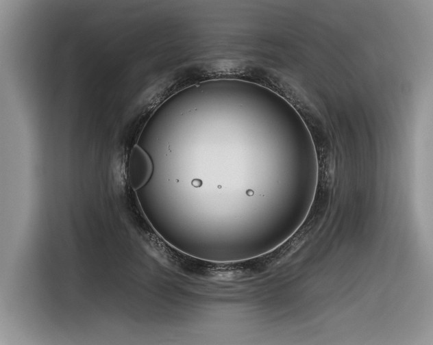 X0000116420746200912081503