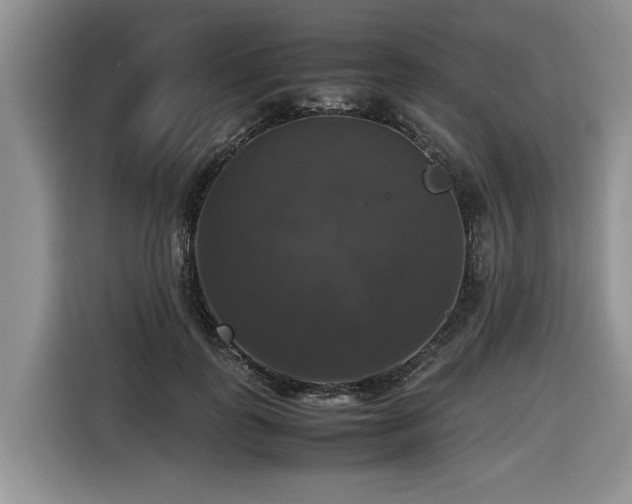 X0000116420747200912081503