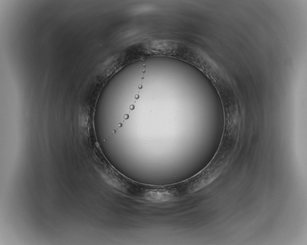 X0000116420749200912081504