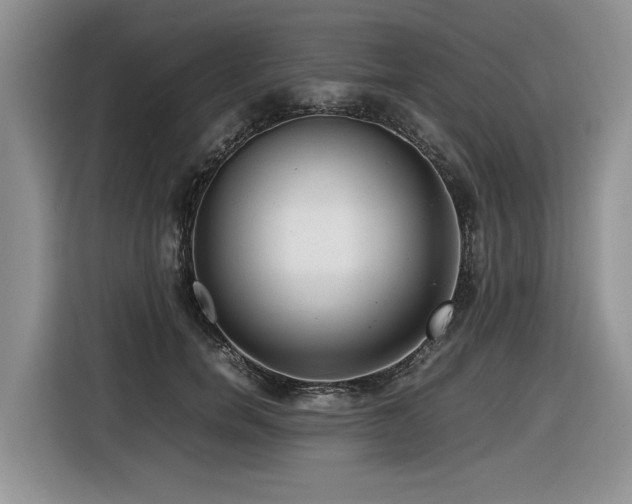 X0000116420750200912081504