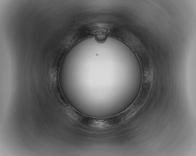 X0000116420753200912081504