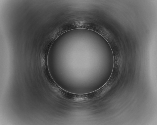 X0000116420754200912081504