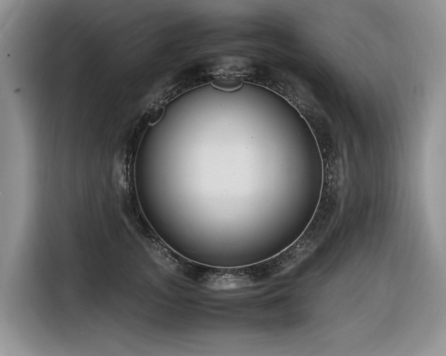 X0000116420755200912081504