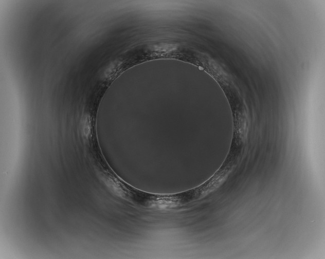 X0000116420758200912081504