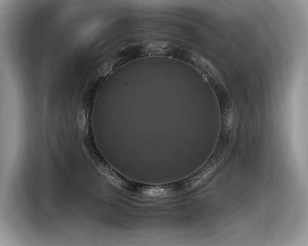 X0000116420759200912081504