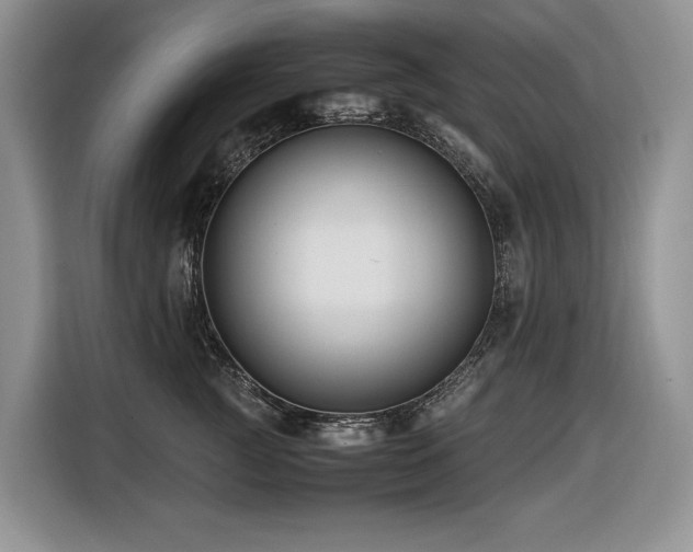 X0000116420761200912081504