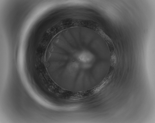 X0000116420765200912081504