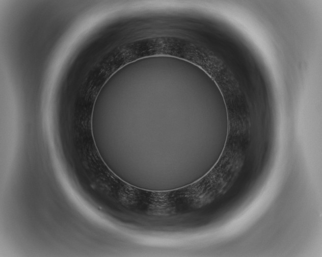 X0000116420766200912081504