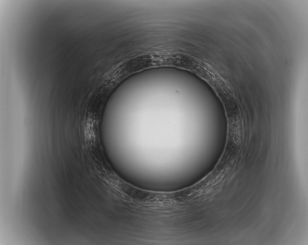 X0000116420770200912081503