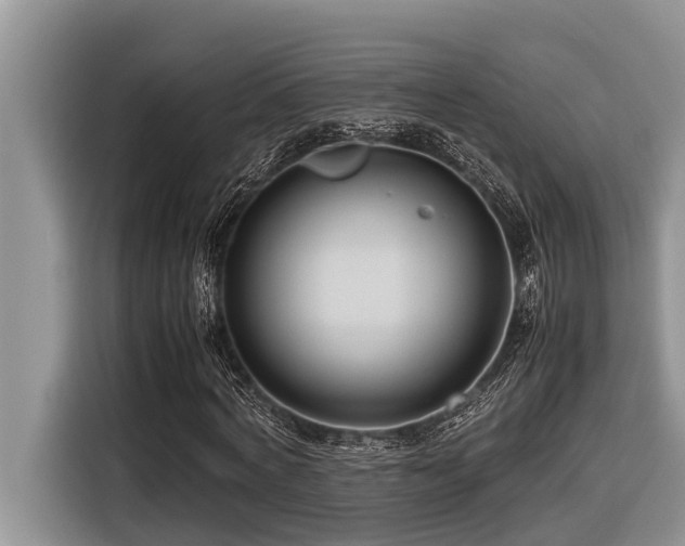 X0000116420772200912081503