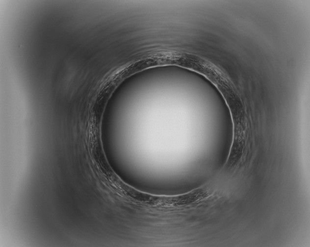 X0000116420773200912081503