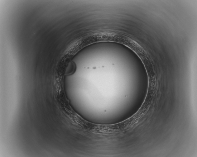 X0000116420774200912081503