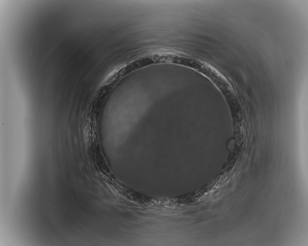 X0000116420775200912081503