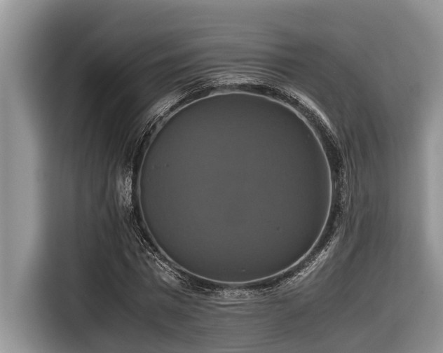 X0000116420777200912081503