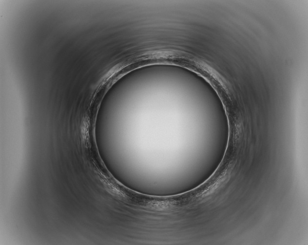 X0000116420778200912081503