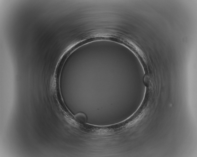 X0000116420779200912081503