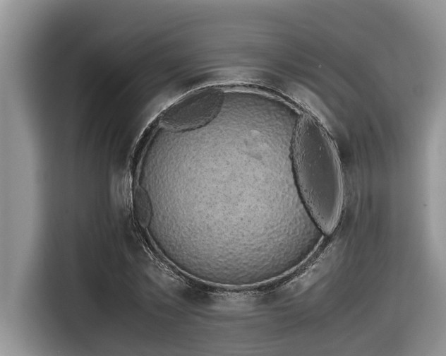 X0000116420781200912081503