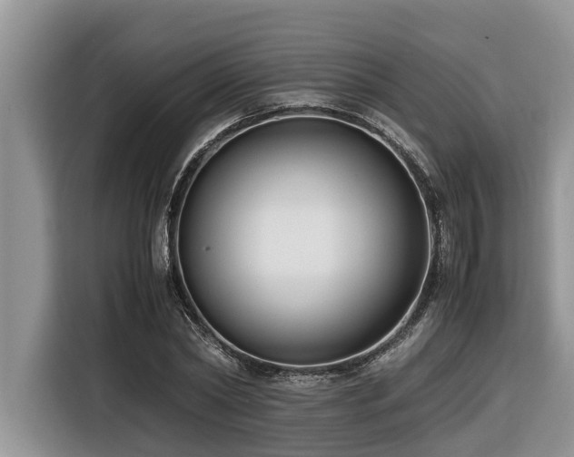 X0000116420782200912081503