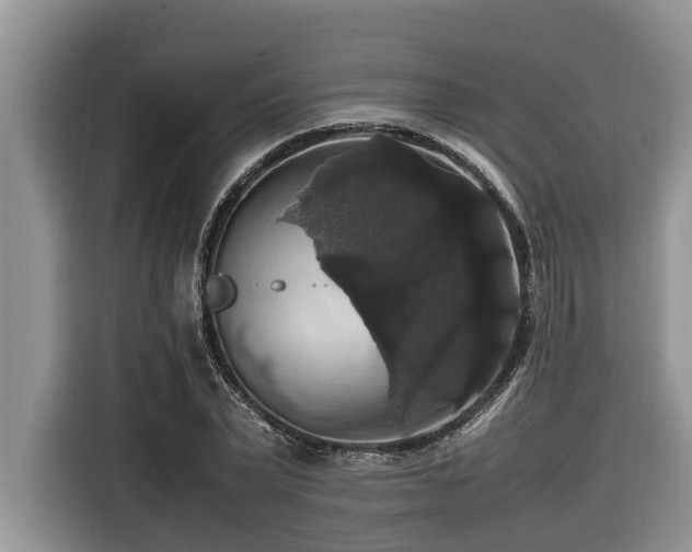 X0000116420783200912081503