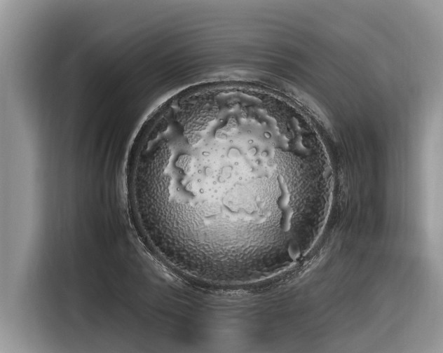 X0000116420784200912081503