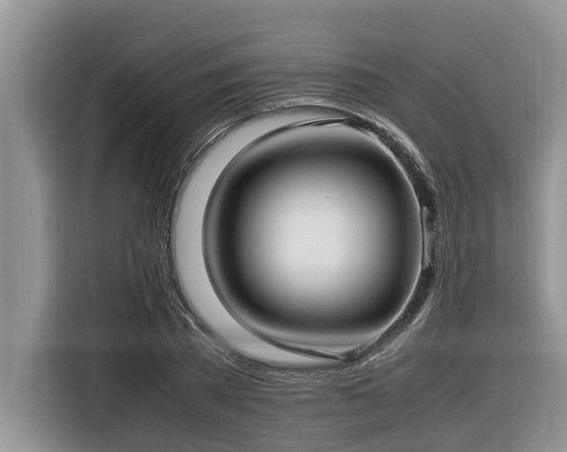 X0000116420785200912081503