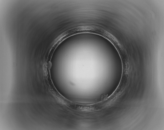 X0000116420786200912081503