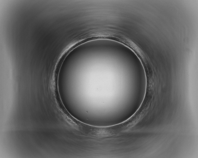 X0000116420787200912081503