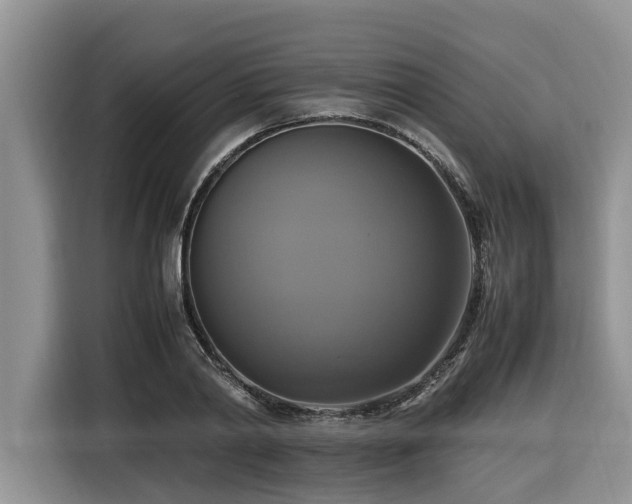 X0000116420790200912081503