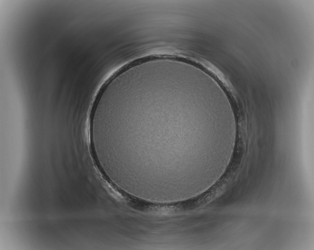 X0000116420791200912081503