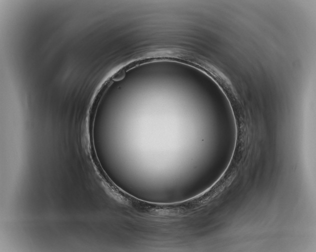 X0000116420792200912081503