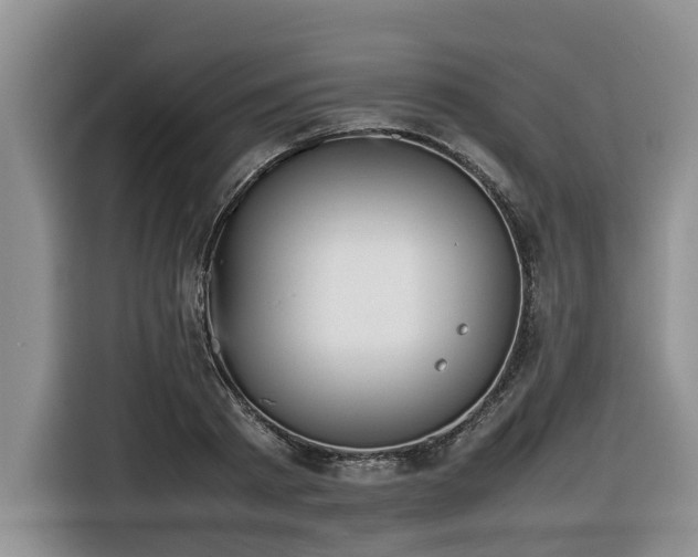 X0000116420793200912081503