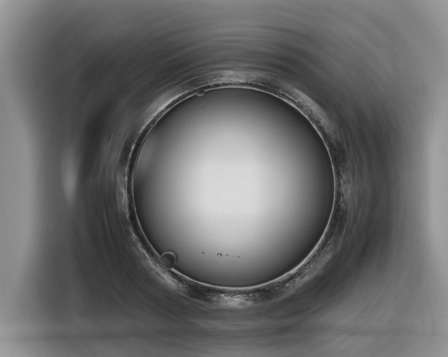 X0000116420794200912081503