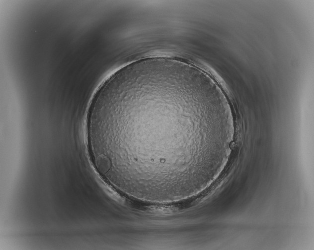 X0000116420795200912081503