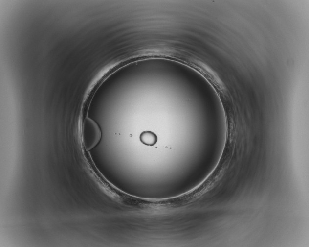 X0000116420796200912081503