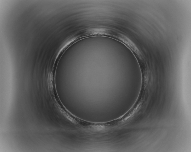 X0000116420798200912081503