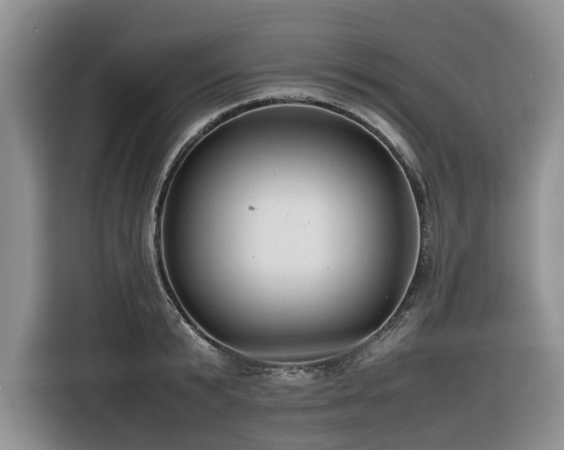 X0000116420799200912081503