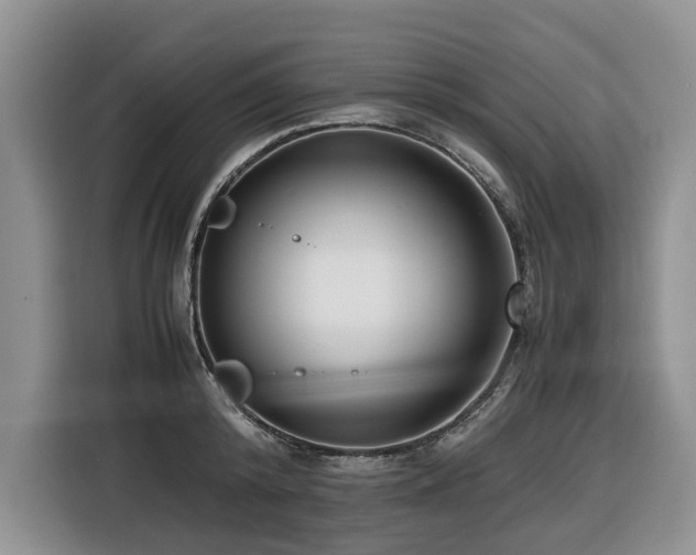 X0000116420800200912081503