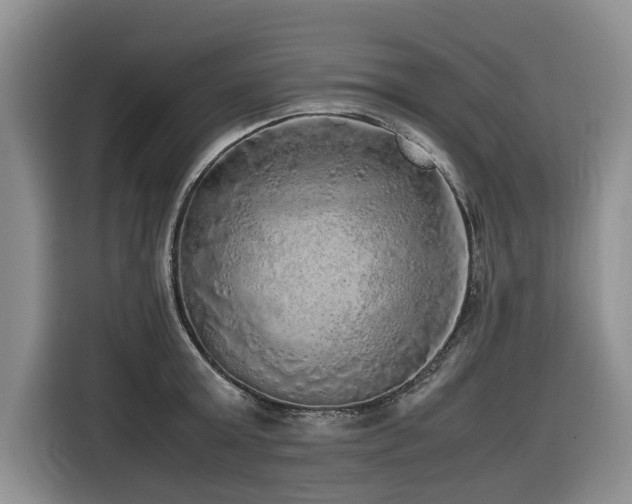 X0000116420803200912081503